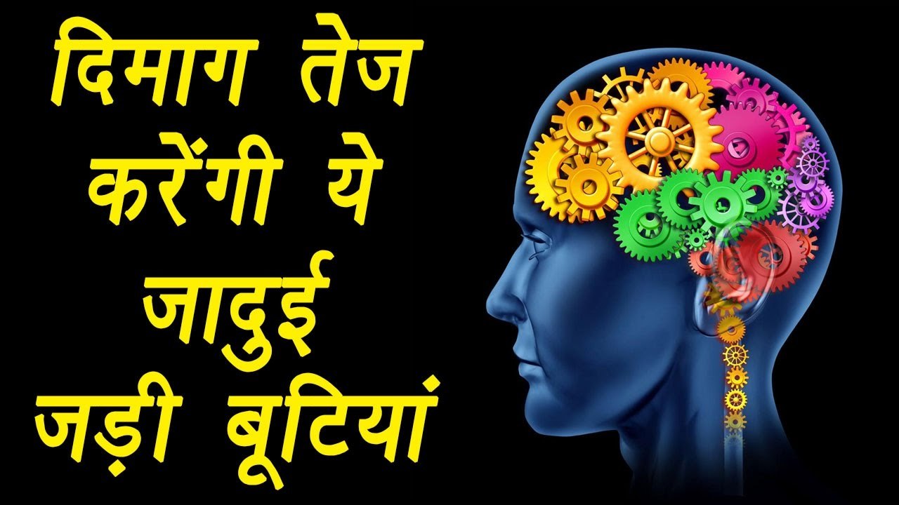 Ayurvedic herbs to enhance brain powers, दिमाग तेज़ करेंगी ये जादुई जड़ी बूटियां | Boldsky