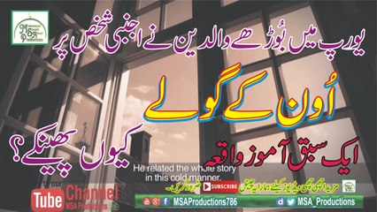 Why Old Parents Throw Two Wool Balls On a Stranger In Europe | With English Subtitle | Amazing Clip