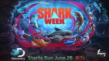 Affamé requin monde pro Les meilleurs jeux mobiles Sharks