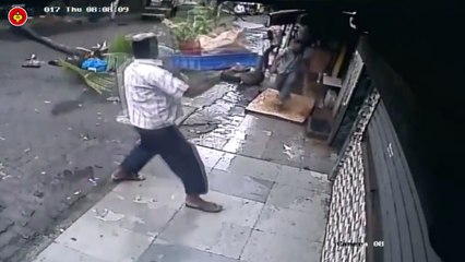 Anchor Dies After Coconut Tree Falls On Her