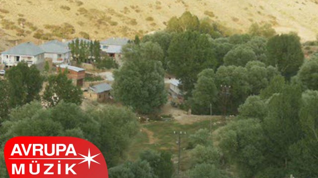 Figen Özgüzel - Elektro Bağlama İle Figen Özgüzel (Full Albüm)