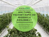 Jaki tunel foliowy kupić