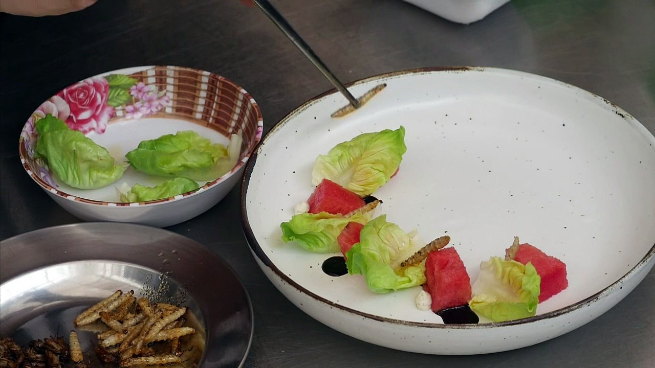 Insetos ‘gourmet’