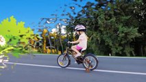 Activité animaux aliments pour animaux pour enfants feuille apprentissage érable théâtre le le le le la 2 |