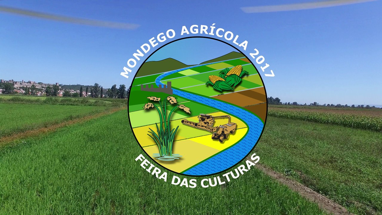 Vista dos campos milho e arroz