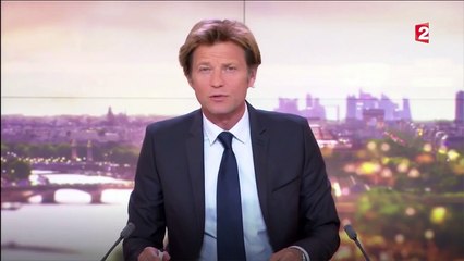 Après Raffarin, Laurent Delahousse viserait Ségolène Royal