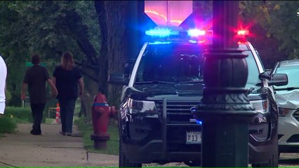 Mother, Twin Girls Dead After Double Murder-Suicide in Illinois