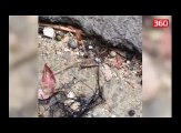 Zbulohet krijesa aliene ne Taiwan (360video)