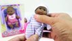 Baby Alive Dolls Potty Training Baby Doll Eating Food and Pooping Poop Diaper Change