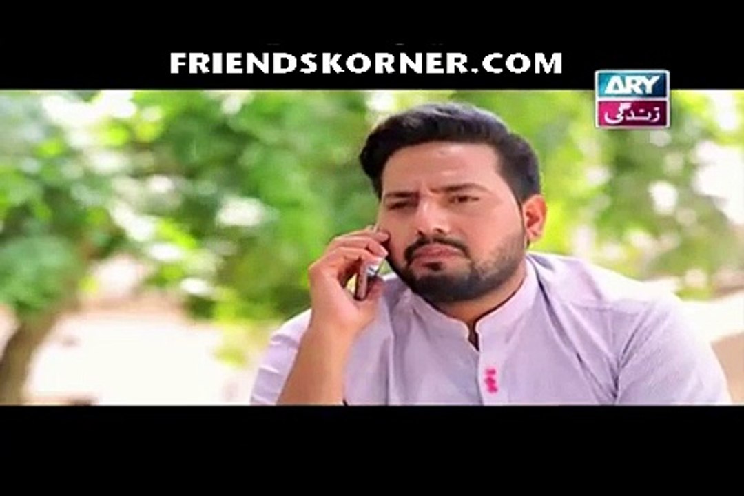 Haal-e-Dil Episode 202