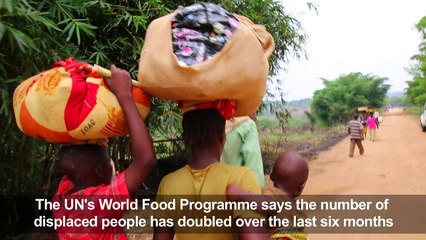 3.8 million displaced by DR Congo violence