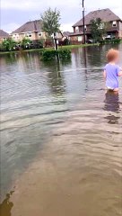 Little Girl Wanders Around in Flood During Hurricane Harvey
