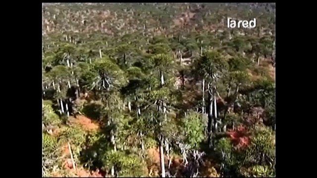 tierra enque vivimos bio bio