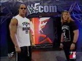 WWE WWF - The Rock & Chris Jericho
