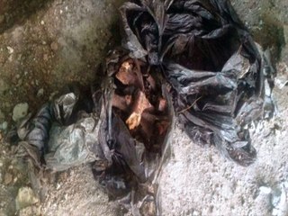 Comienzan investigaciones de osamentas encontradas en modulo escorpión