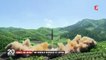 Corée du Nord : un nouveau tir de missile, la Maison Blanche réagit