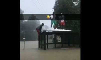 Des jeunes s'amusent à sauter sur un abribus pendant les inondations.
