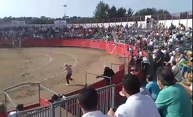 Un militant fauché à deux reprises par un taureau (Carcassonne)