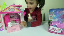 Un et un à un un à et voiture agrafe maison de poupées poupées la magie Magie Princesse jouet avec Barbie chelsea clubhouse disney 201