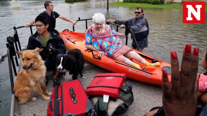Pets saved in the wake of hurricane Harvey