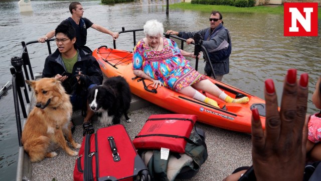 Pets saved in the wake of hurricane Harvey