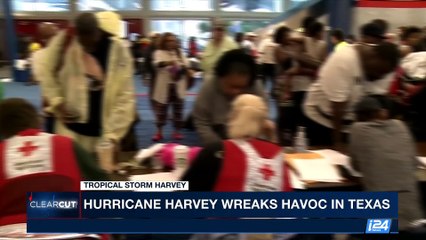 CLEARCUT | With Michelle Makori | Tuesday, August 29th 2017