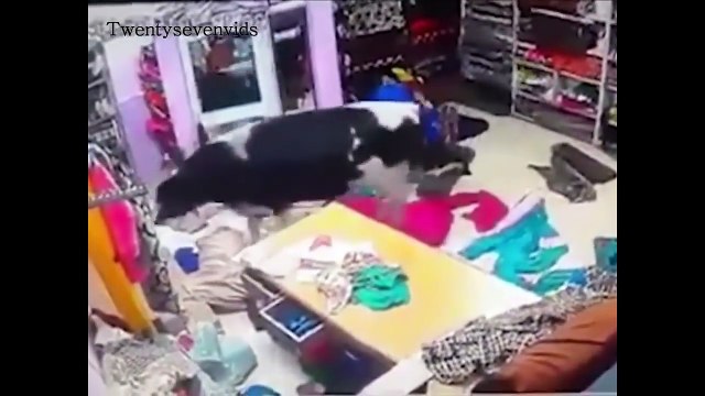 Indian Funny Videos 2017 July - Whatsapp Funny Videos Indian - Try Not To Laugh (Funny Indian videos