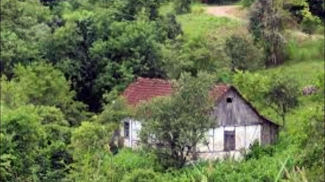 os verdes campos de minha terra (ensaio)