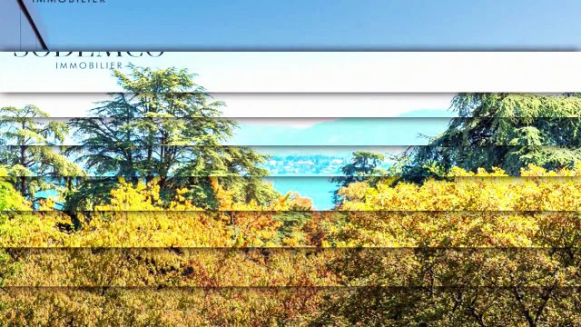 A louer - Commerce - Versoix (1290)