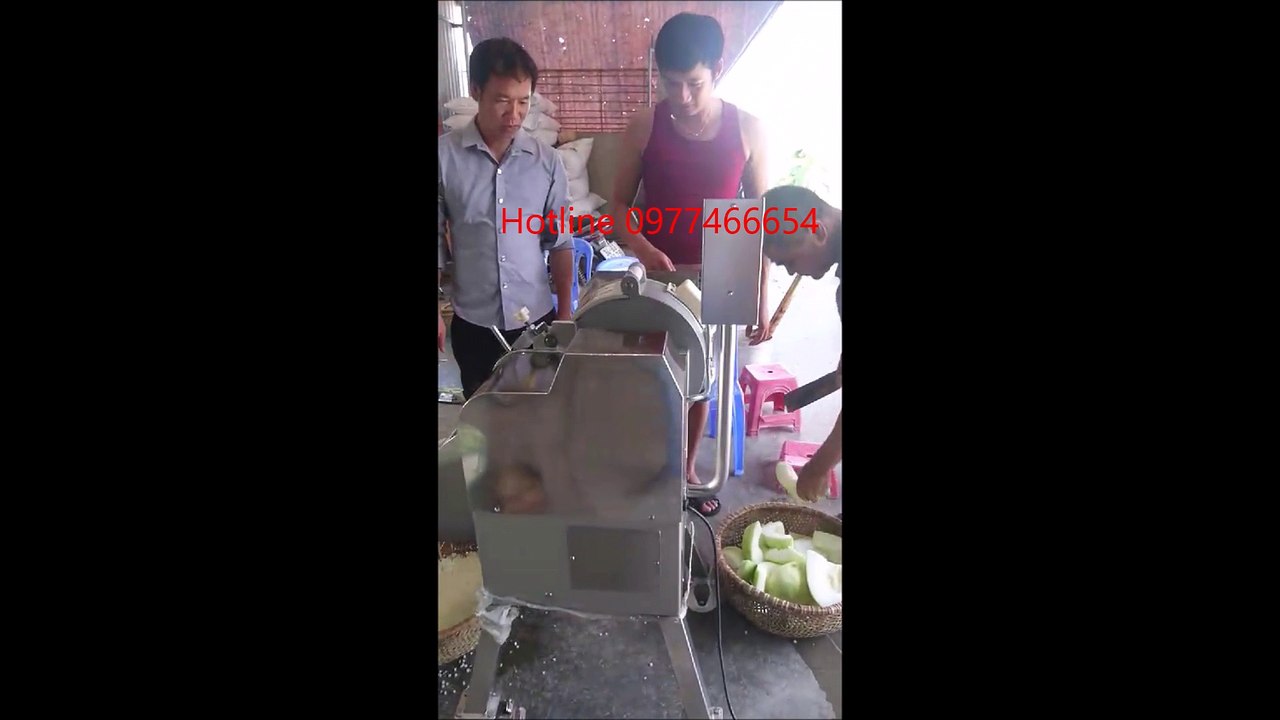Máy cắt bí đao, máy cắt hạt lựu