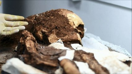 Descoberta sepultura de 2.500 anos