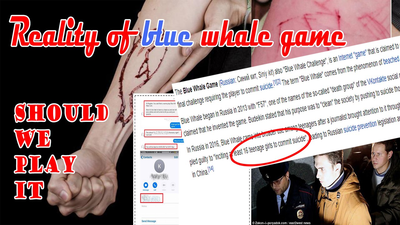 Reality of blue whale game . SHOULD WE PLAY  IT? (The Killer Game)