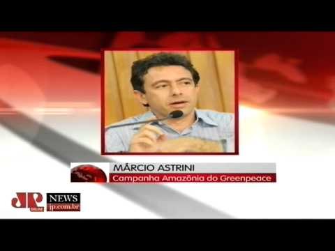 Desmatamento pode provocar a extinção de 90% das espécies