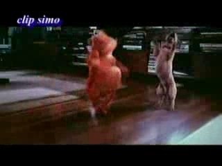 _chien-et-chat-dancent-chaabi