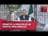 Mancera inaugura exposición canina en Zócalo Capitalino