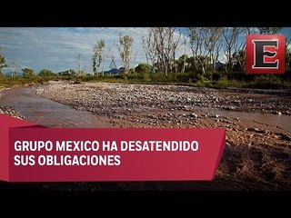 Impunidad para Grupo México por Río Sonora