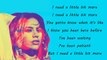 Fifth Harmony - Don't Say You Love Me (Lyrics & Pictures)