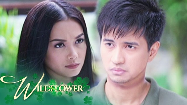 Wildflower: Ivy accompanies Arnaldo | EP 136