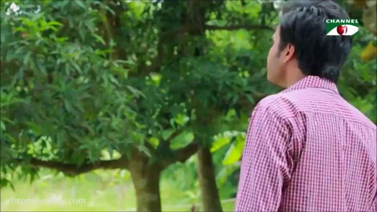 Bizli & Motahar
