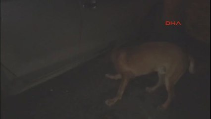 Kayseri'de 1 Kilo Eroin Ele Geçirildi