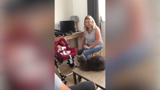 Les 30 premiers jours d'un papa : Jour 6 (Benjamin Maréchal)