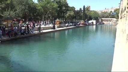 Kurbanda Et Pişirecek Olanlara Bakır Tencere Tavsiyesi