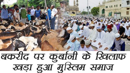 Muslim National Forum ने बकरीद पर कुर्बानी का किया विरोध | वनइंडिया हिंदी