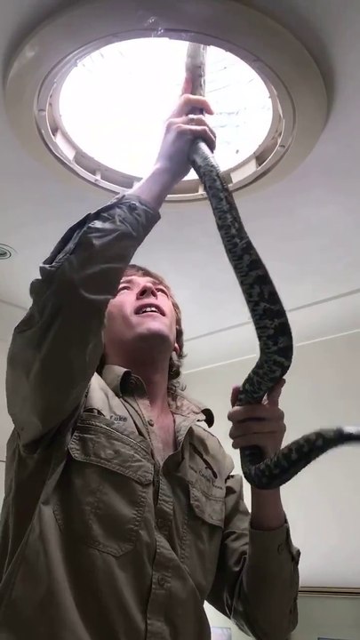 Il capture un python coincé dans le lustre de la salle de bain. Vive l'australie