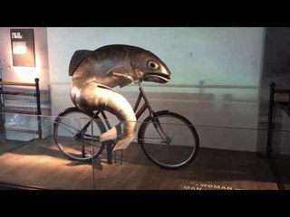 Onlooker Is Hypnotized By Cycling Fish
