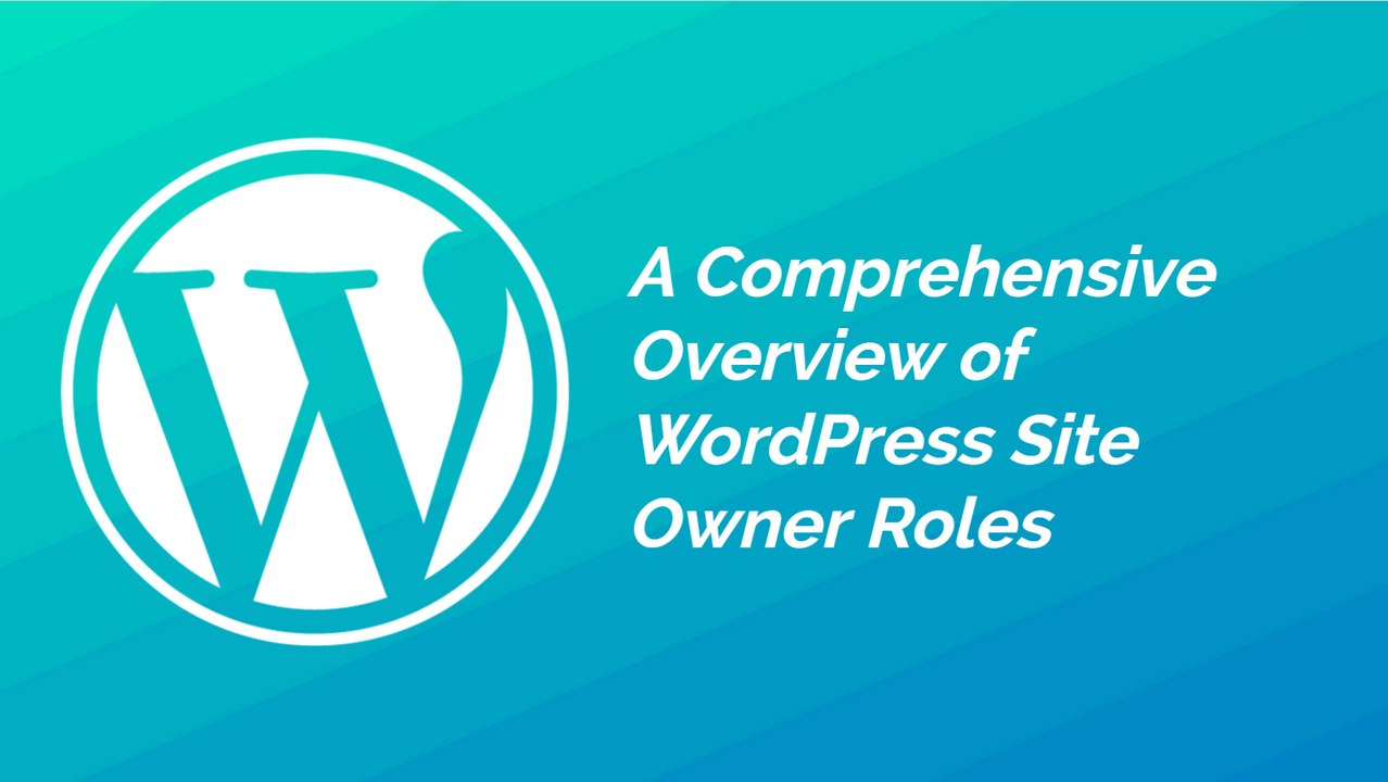 Wordpress Tutorials- A comprehensive overview of wordpress website- Amir Amin-SEO