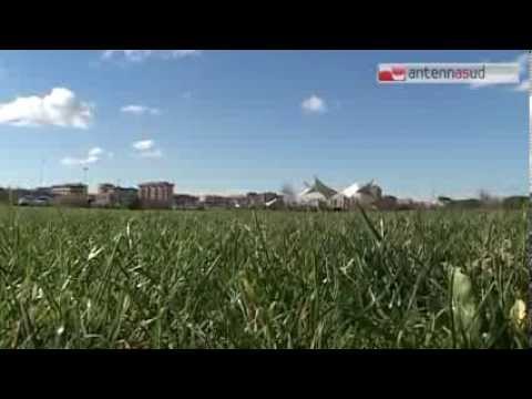 TG 05.02.14 I Matarrese sfidano Emiliano e presentano il progetto urbanistico di Punta Perotti