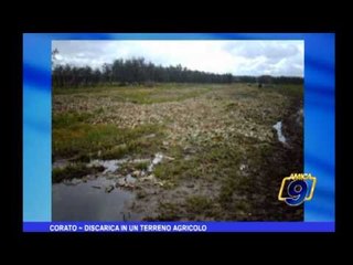 Corato | Discarica in un terreno agricolo