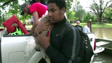 Ouragan Havey: les évacuations continuent à Houston