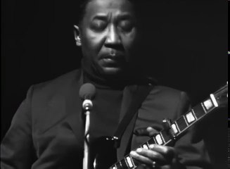 Muddy Waters - Train fare home blues,Copenhagen 10-27-1968